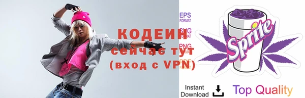 бошки Краснослободск